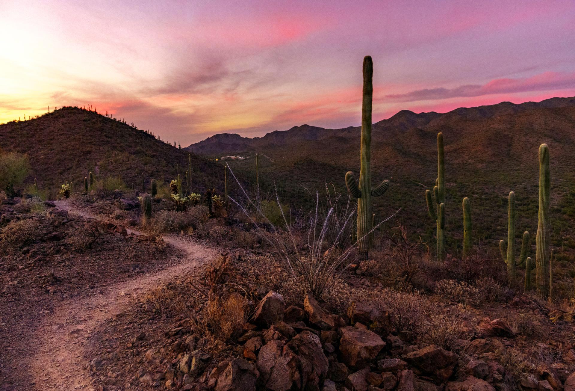 Pascua Yaqui Education Center | Coastal Sage Landscape Architecture