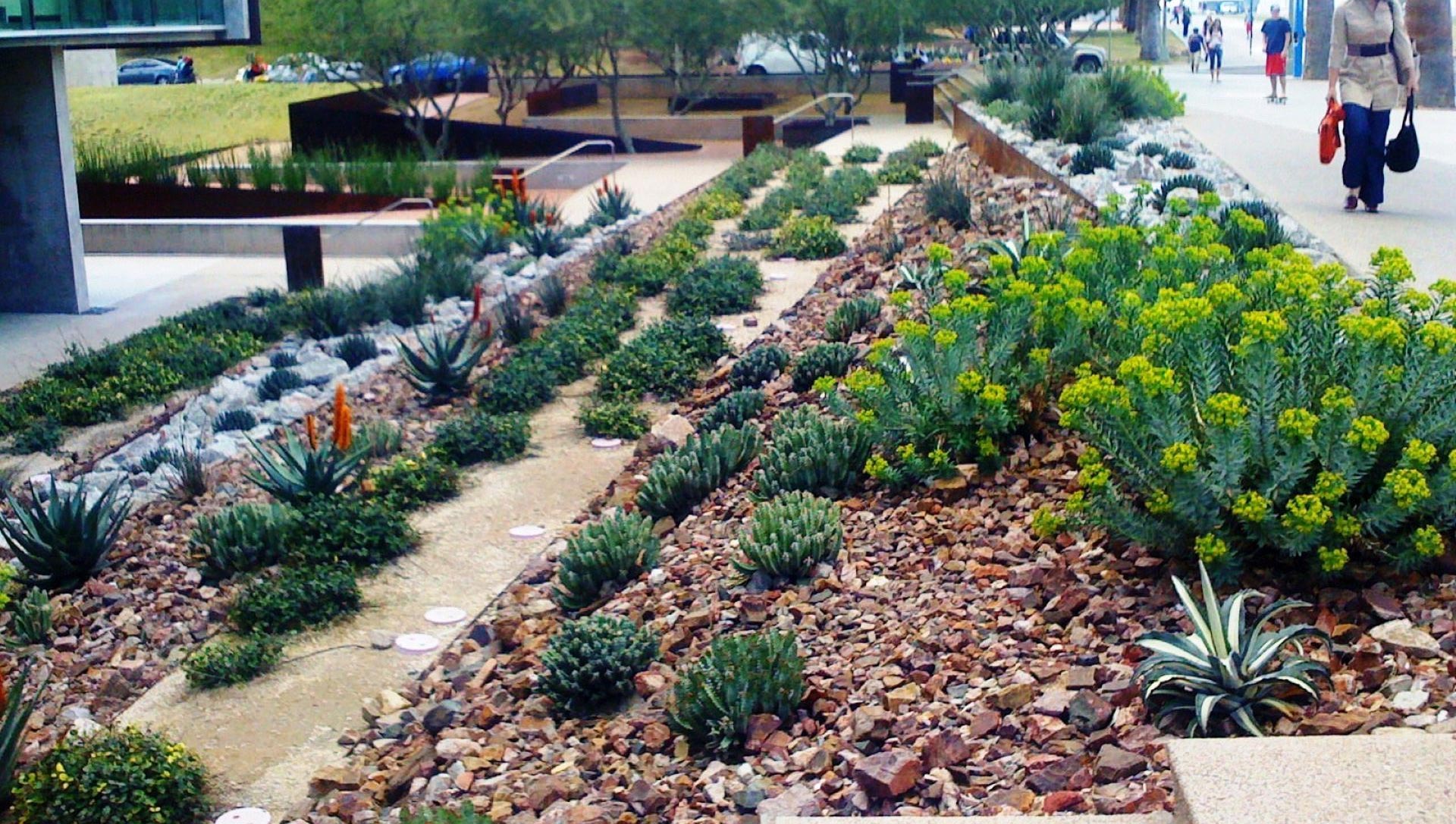 Coastal Sage Landscape Architecture
