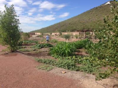 Mission-Gardens tending