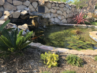 ZLAC pond restoration