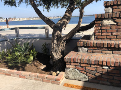 ZLAC tea tree preservation
