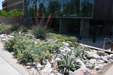 meinel-optical-sciences-2