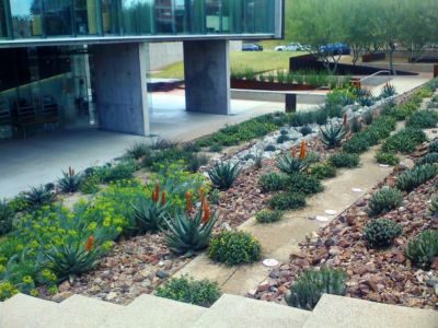 meinel-optical-sciences-4